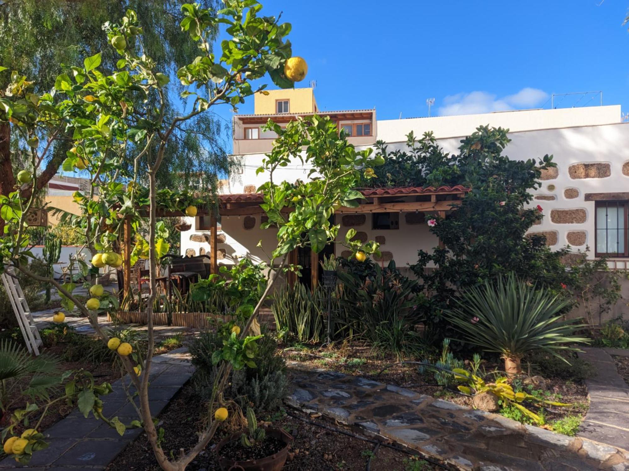 Casa Roberta Agua Apartment Arona  Exterior photo
